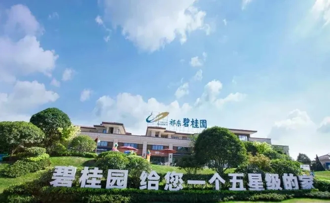 碧桂園爆雷，專(zhuān)家建議國(guó)家出手相救，同時(shí)購(gòu)買(mǎi)前20房企住房